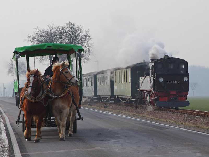 Bei ihrem Einsatz zur Lokhilfe für die Döllnitzbahn am 29. Januar kam 99 1568-7 der Preßnitztalbahn nach 20 Jahren und zwei Monaten erstmals wieder zwischen Oschatz und Mügeln zum Einsatz.