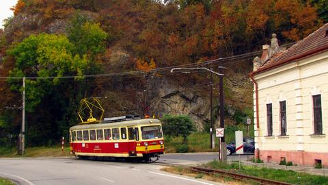 Am 5. Oktober 2011 verläßt 411 903 die Haltestelle Trenčianske Teplice zastávka, die sich direkt unter einem Aussichtspunkt befindet, in Richtung Endbahnhof Trenčianske Teplice.