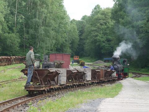 Manfred Werners Krauss-Lok Nr. 7790 trug dazu bei, daß die diesjährigen Foto-Güterzüge in der Herrenleite ein großer Erfolg waren.
