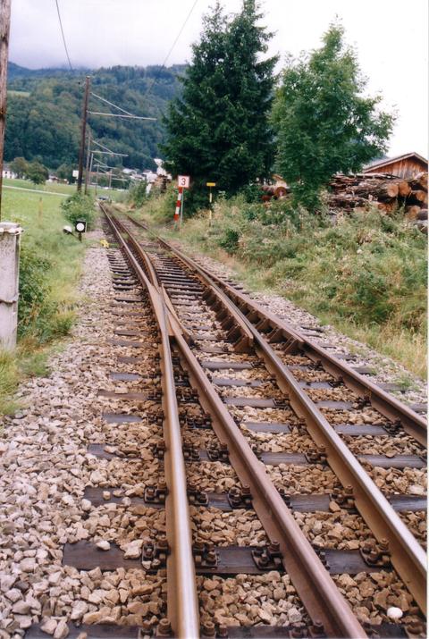 Ausfädelung des Meterspurgleises aus dem Dreischienengleis – Trennstelle nach Gmunden bzw. von Gmunden Seebahnhof.