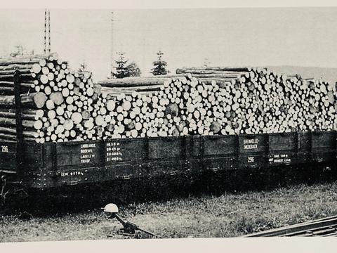 Der Güterwagen 296 der 750-mm-Schmalspurbahn Steinhelle – Medebach mit niedrigen Seitenwänden und Steckrungen an den Stirnwänden
