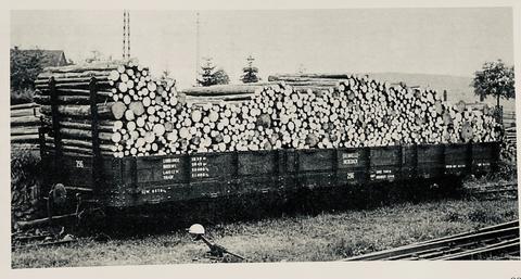 Der Güterwagen 296 der 750-mm-Schmalspurbahn Steinhelle – Medebach mit niedrigen Seitenwänden und Steckrungen an den Stirnwänden
