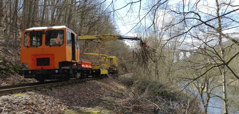Am 27. März organisierte der Förderverein Muldentalbahn einen Arbeitseinsatz zur Beräumung der vereinseigenen Waldfläche am Stellwerk Wechselburg. Diese Nebenfahrzeuge fuhren Totholz ab.