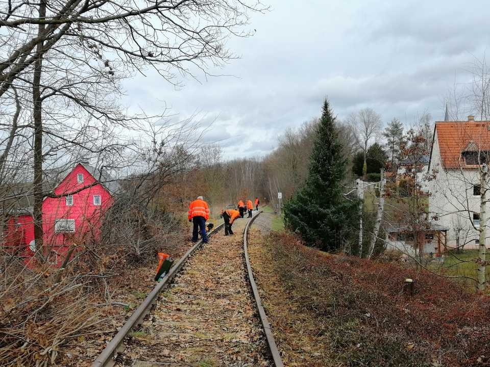 Am 13. März 2021 fand an der Muldentalbahn in Reinholdshain bei Glauchau ein Arbeitseinsatz statt, um das Gleis wieder befahrbar zu machen. Dabei halfen auch VSE-Mitglieder.