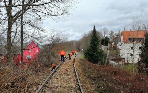 Am 13. März 2021 fand an der Muldentalbahn in Reinholdshain bei Glauchau ein Arbeitseinsatz statt, um das Gleis wieder befahrbar zu machen. Dabei halfen auch VSE-Mitglieder.