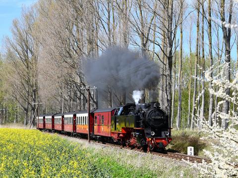 Beim Molli verkehren die Züge der Mecklenburgischen Bäderbahn seit dem 28. Mai 2021 wieder gemäß Sommerfahrplan. Zwei Wochen zuvor lichtete Jan Methling am 9. Mai diesen Zug vor Heiligendamm ab.