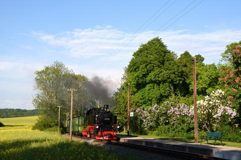 Fortgeschrittener als im Erzgebirge zeigte sich die Vegetation am 2. Juni auf der Insel Rügen. Thomas Schneider lichtete die Neubaulok 99 782 mit ihrem Zug am verlängerten Bahnsteig in Posewald ab.