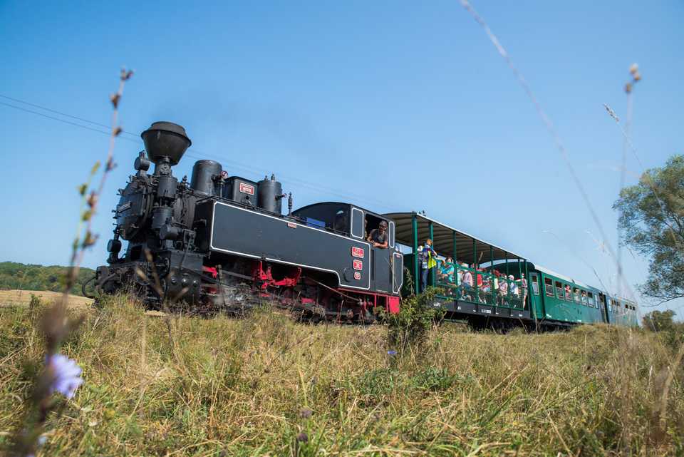 Bereits ab 2015 führte die rumänische Vereinigung APM auf der „Wusch“ gelegentliche Sonderfahrten ab Harbachsdorf (Cornățel) durch. Zum Einsatz kamen dabei meist geliehene Dampfloks, so im September 2020 die Lok 764.431, die lange beim „Rasenden Roland“ in Putbus abgestellt war.