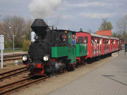 Lok 04 (ex DR 99 3301 / Waldeisenbahn Muskau) der Parkeisenbahn Cottbus.