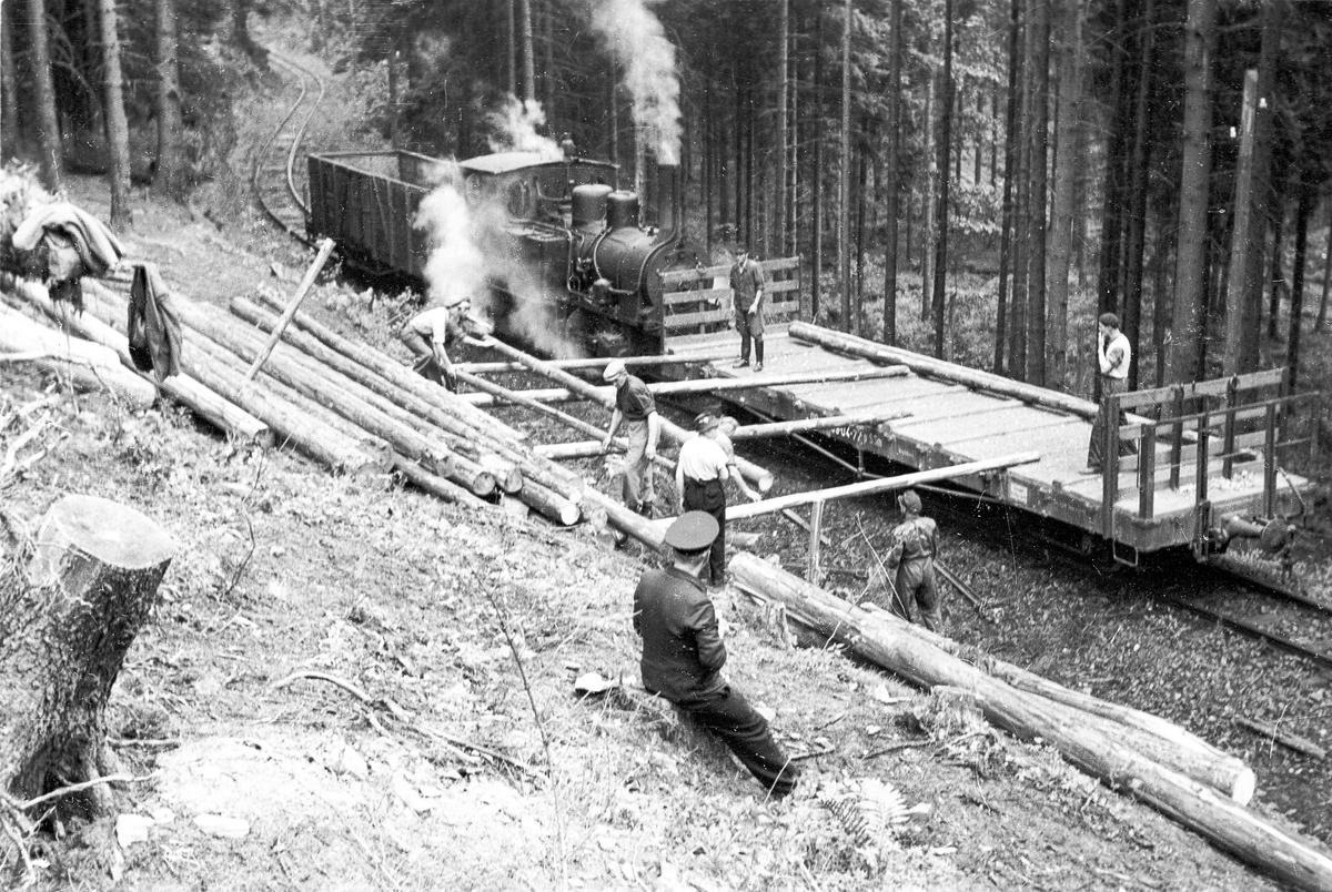 Einen Eindruck von der Arbeit der Forstarbeiter in den 1950er Jahren am Heiligen Teich im Selketal ermöglicht diese Aufnahme aus dem Mai 1958. Entästete Baumstämme wurden demnach auf freier Strecke auf Güterwagen gerollt. Zuglok war die 99 5811.