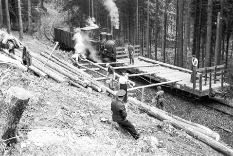 Einen Eindruck von der Arbeit der Forstarbeiter in den 1950er Jahren am Heiligen Teich im Selketal ermöglicht diese Aufnahme aus dem Mai 1958. Entästete Baumstämme wurden demnach auf freier Strecke auf Güterwagen gerollt. Zuglok war die 99 5811.