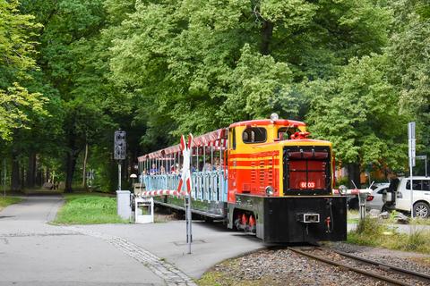 Auf der Chemnitzer Parkbahn kommt als Lok 6003 auch eine Diesellok vom Typ V10C zum Einsatz. Guido Wranik lichtete die C-dm (LKM 1971/250510) am 1. August 2021 am Bahnübergang Küchwaldstraße ab.