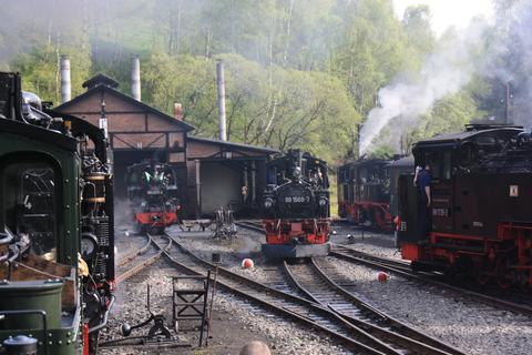 Sieben Loks waren zum Bahnhofsfest unter Dampf, aber für die Fotografen war es durch den umfangreichen Zugverkehr nicht einfach, alle sieben auf ein Foto zu bannen.