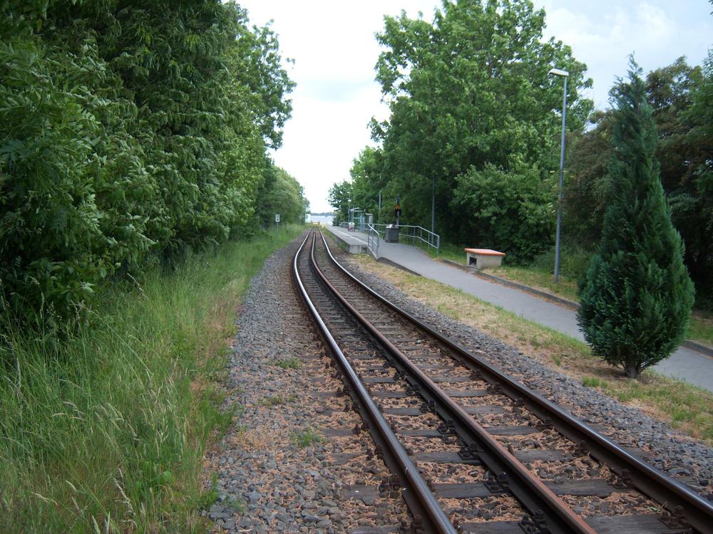Seit dem 13. Dezember sind alle drei Schienen in regelmäßiger Nutzung durch die PRESS – allerdings fahren die Schmalspurzüge der RüBB nur im Sommerfahrplan bis Lauterbach Mole.