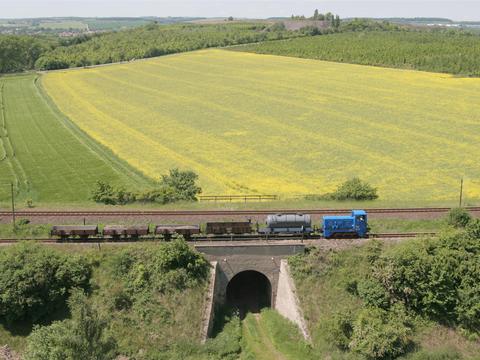 Von der Halde Thälmannschacht herunter ergab sich ein Blick auf den V10c-geführten Güterzug.