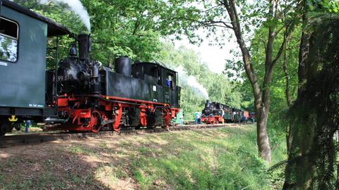 Erstmals zwei Dampfloks im Zugbetrieb beim Pollo, das bedeutete Kreuzung der Züge im Bahnhof Brünkendorf. Am 21. Mai kreuzen hier gerade der nach Mesendorf fahrende Zug mit 99 4511 und der nach Lindenberg fahrende Zug mit IV K 99 574.