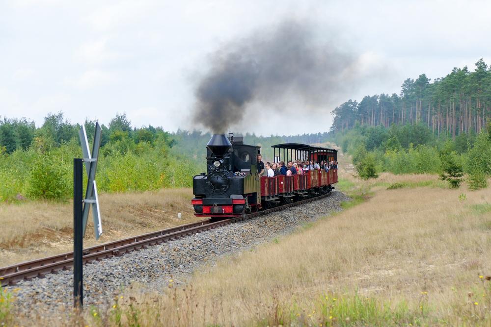 Bei der Waldeisenbahn Muskau verkehrten zum Museumsfest am 11./12. September drei Dampfzüge. Den von der 99 3315-1 geführten Zug fotografierte Frank Esche am 12. September 2021 am Schweren Berg