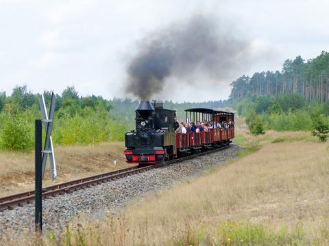 Bei der Waldeisenbahn Muskau verkehrten zum Museumsfest am 11./12. September drei Dampfzüge. Den von der 99 3315-1 geführten Zug fotografierte Frank Esche am 12. September 2021 am Schweren Berg