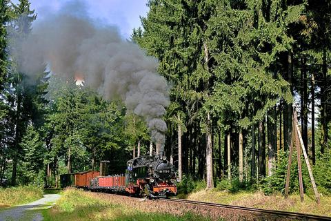 Auf der Fichtelbergbahn zog die 99 1773-3 am 5. September 2021 einen zum Fotografieren und Filmen eingesetzten Schmalspurgüterzug – Rainer Steger lichtete diesen Zug hinter dem Haltepunkt Vierenstraße ab.