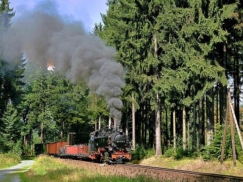 Auf der Fichtelbergbahn zog die 99 1773-3 am 5. September 2021 einen zum Fotografieren und Filmen eingesetzten Schmalspurgüterzug – Rainer Steger lichtete diesen Zug hinter dem Haltepunkt Vierenstraße ab.