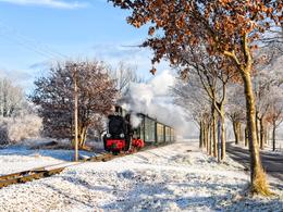 Mit dem ersten Zug des Tages nach Putbus war die Vulcan-Dampflok 53 Mh (99 4633) am 21. Dezember
2021 bei Posewald unterwegs.