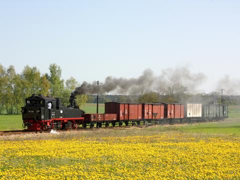 Ende April/Anfang Mai war 99 574 aus Mügeln zu Gast beim Pollo in der Prignitz. Eine Woche lang bespannte sie wechselnde Garnituren zwischen Mesendorf und Lindenberg, hier mit einem Güterzug kurz vor dem ehemaligen Betriebsmittelpunkt.