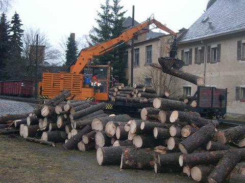 Holztransport nicht für eine Fotoveranstaltung, sondern zur Beräumung der Strecke nach dem starken Windbruch durch Sturm Emma war Anfang März auf der Preßnitztalbahn erforderlich.