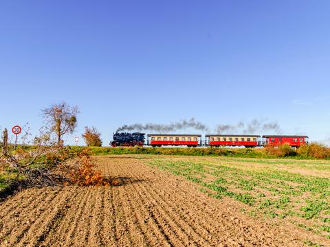 Am 24. Oktober 2021 war die 99 6001 mittags zwischen Quedlinburg-Quarmbeck und Bad Suderode mit dem Zug 8965 auf dem 2005/06 umgespurten Gleis nach Gernrode unterwegs.