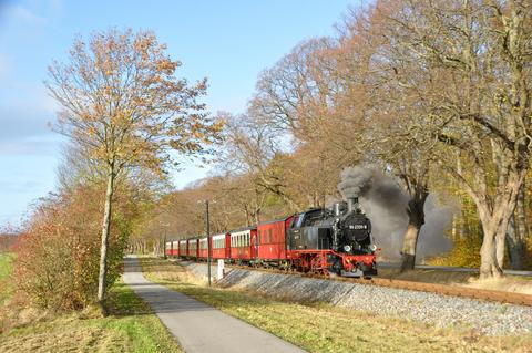 Bei der Molli-Bäderbahn kommt die Lok 99 331 nach ihrer Untersuchung im Dampflokwerk Meiningen wieder zum Einsatz, hier am 7. November 2021 zwischen Heiligendamm und Rennbahn.