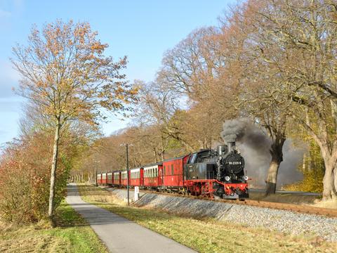 Bei der Molli-Bäderbahn kommt die Lok 99 331 nach ihrer Untersuchung im Dampflokwerk Meiningen wieder zum Einsatz, hier am 7. November 2021 zwischen Heiligendamm und Rennbahn.