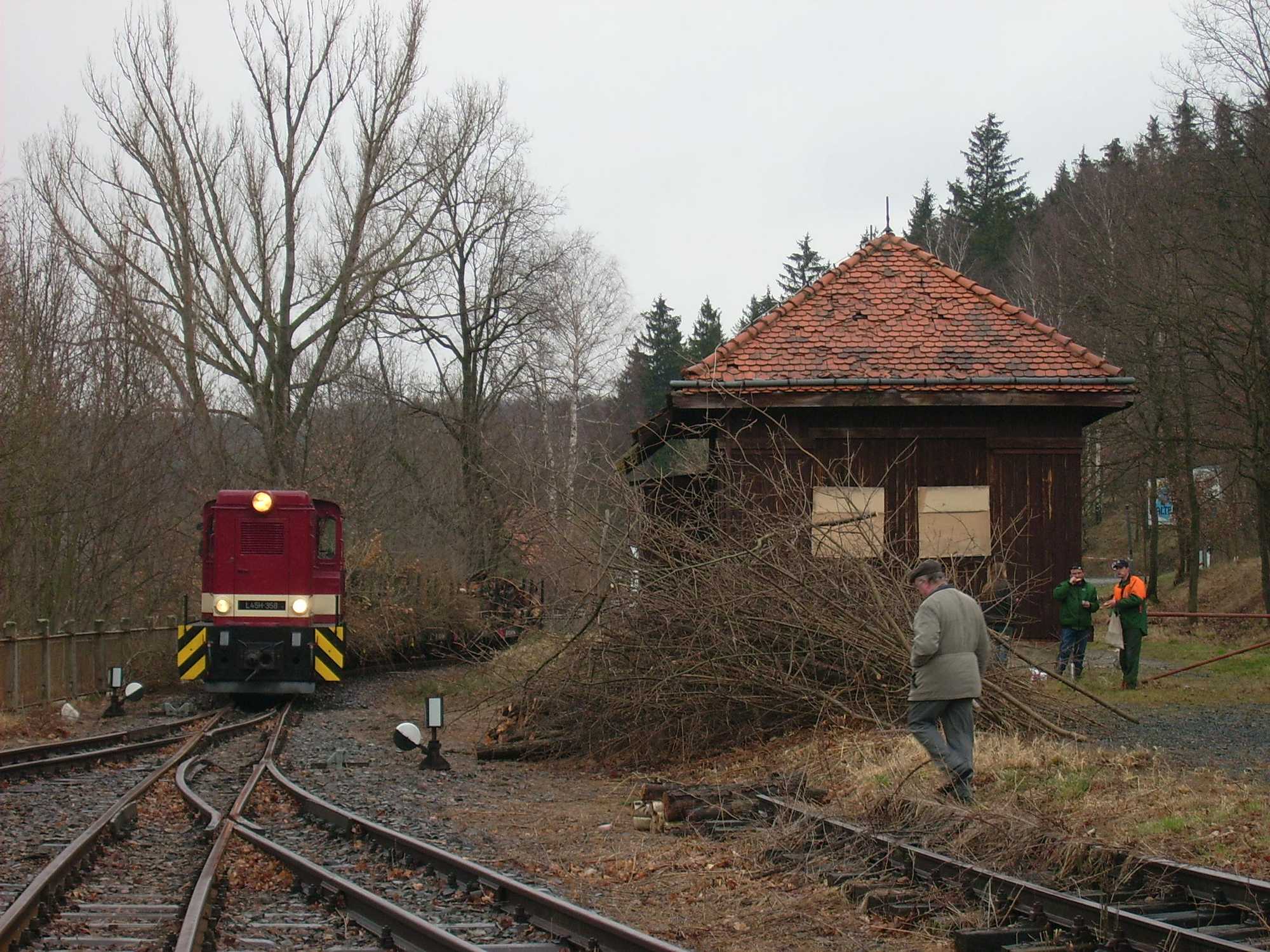 Am 27. Februar rangiert L45H-358 in Seifersdorf einen Arbeitszug mit Grünschnitt.