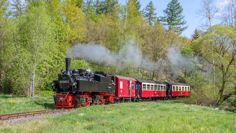 In den vergangenen Jahren wurde die Mallet-Lok 99 5906-5 nur selten eingesetzt – am 15. Mai 2022 ging die letzte betriebsfähige Lok dieser Bauart bei den Harzer Schmalspurbahnen in den Ruhestand.
Richard Geertz fotografierte sie zuvor noch am 14. Mai 2022 zwischen Silberhütte und Straßberg.
