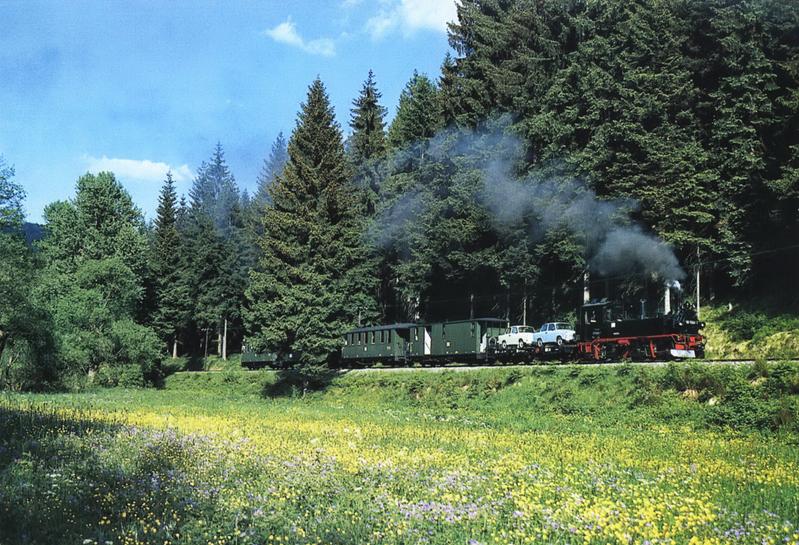 In prächtigen, intensiven Farben blühen im Preßnitztal jedes Jahr im Juni die Waldwiesen. Vor dieser Kulisse schleppt 99 1568-7 am 10. Juni 2006 ihren Zug zwischen Schmalzgrube und Schlössel bergwärts.