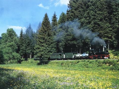In prächtigen, intensiven Farben blühen im Preßnitztal jedes Jahr im Juni die Waldwiesen. Vor dieser Kulisse schleppt 99 1568-7 am 10. Juni 2006 ihren Zug zwischen Schmalzgrube und Schlössel bergwärts.