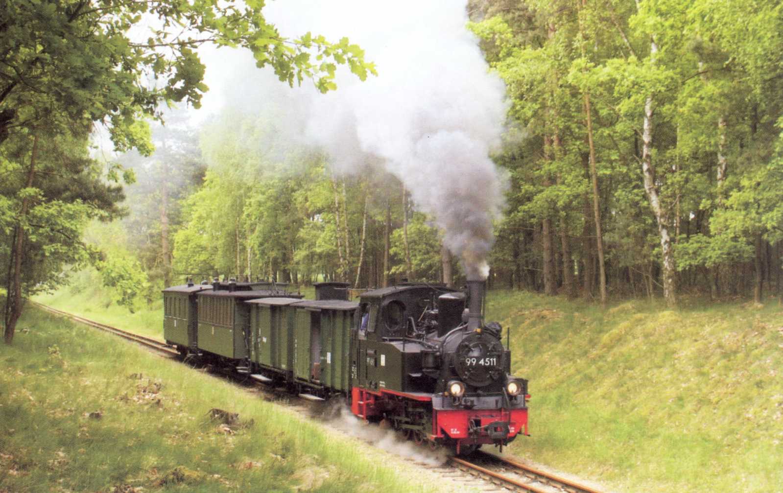 Am 26. Mai 2006 bespannte Gastlok 99 4511 aus Jöhstadt beim Pollo ständig wechselnde Wagengarnituren. Der Lindenberger Verein hatte an diesem Tag seine traditionelle Fotoveranstaltung abgehalten.