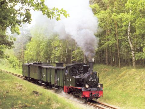 Am 26. Mai 2006 bespannte Gastlok 99 4511 aus Jöhstadt beim Pollo ständig wechselnde Wagengarnituren. Der Lindenberger Verein hatte an diesem Tag seine traditionelle Fotoveranstaltung abgehalten.