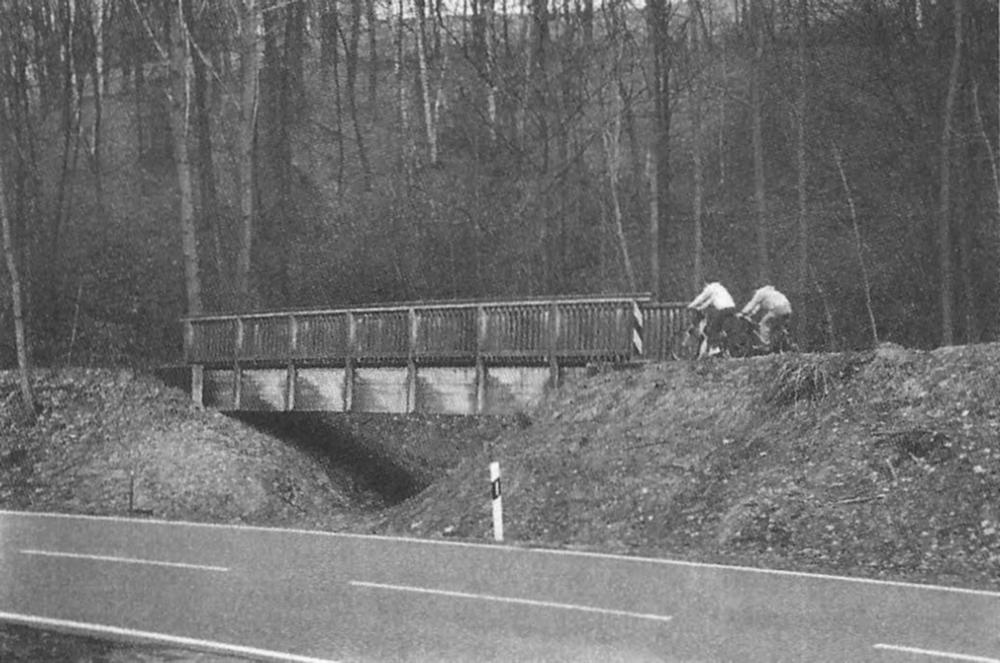 Der gleiche Fotostandpunkt im Frühjahr 2005. Inzwischen können Fahrradfahrer die Stelle passieren – auf einer neuen, hölzernen Brücke.