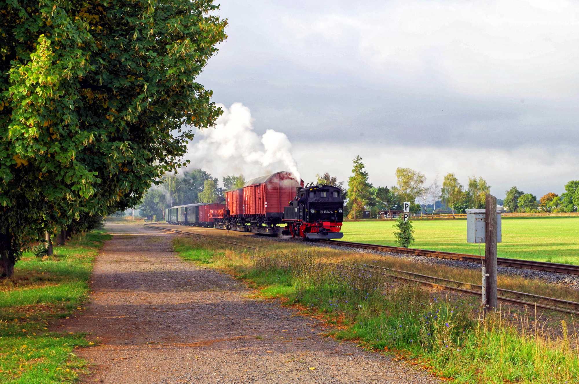 Für Fotografen war die 99 584 der Döllnitzbahn am 11. September mit diesem Pmg zwischen Oschatz und Mügeln unterwegs, hier bei Naundorf. Foto: Andreas Höfig