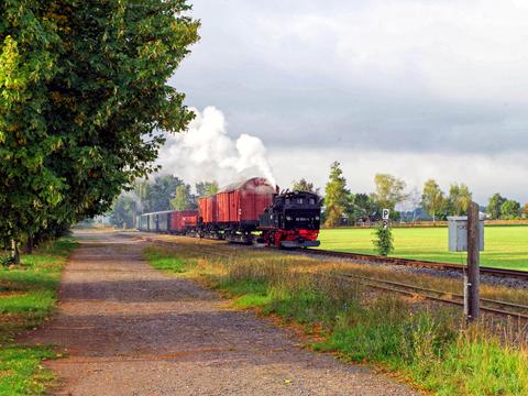 Für Fotografen war die 99 584 der Döllnitzbahn am 11. September mit diesem Pmg zwischen Oschatz und Mügeln unterwegs, hier bei Naundorf. Foto: Andreas Höfig