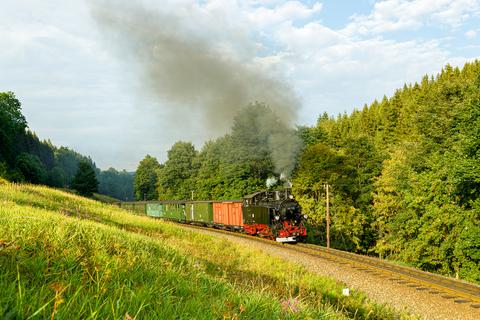 Die 99 713 gehörte anlässlich „125 Jahre Cranzahl – Kurort Oberwiesenthal“ zu den Gratulanten. Norman Timpe lichtete sie am 14. August 2022 auf der Fahrt nach Oberwiesenthal hinter Hammerunterwiesenthal ab.