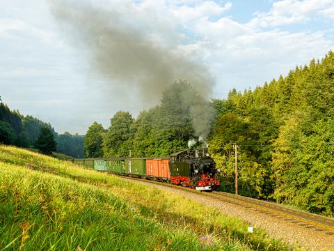 Die 99 713 gehörte anlässlich „125 Jahre Cranzahl – Kurort Oberwiesenthal“ zu den Gratulanten. Norman Timpe lichtete sie am 14. August 2022 auf der Fahrt nach Oberwiesenthal hinter Hammerunterwiesenthal ab.