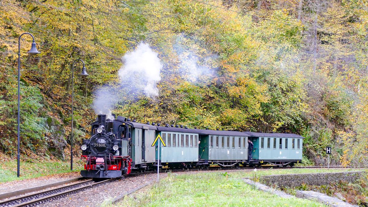 Die SDG setzte in den sächsischen Herbstferien die IV K 99 608 auf der Weißeritztalbahn vor einem zweiten Umlauf ein. Frank Esche fotografierte den Zug am 23. Oktober bei der Einfahrt in den Haltepunkt Spechtritz.
