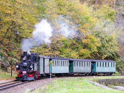 Die SDG setzte in den sächsischen Herbstferien die IV K 99 608 auf der Weißeritztalbahn vor einem zweiten Umlauf ein. Frank Esche fotografierte den Zug am 23. Oktober bei der Einfahrt in den Haltepunkt Spechtritz.