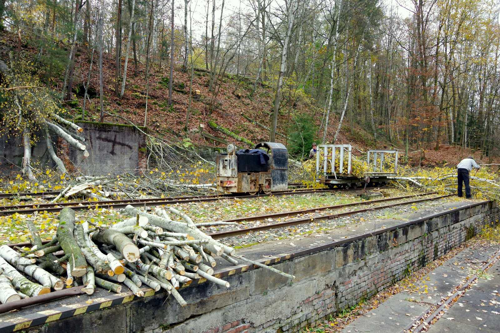 Holzfällen und -bergen mit Unterstützung der Feldbahn-Akkulok vom Typ Metallist beim Abtransport der Äste.