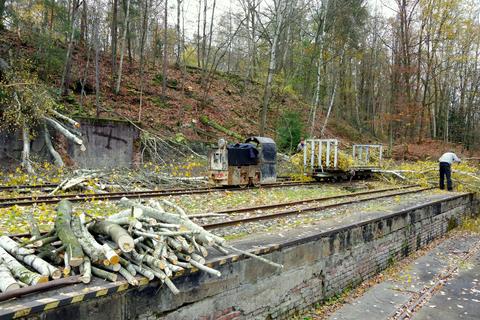Holzfällen und -bergen mit Unterstützung der Feldbahn-Akkulok vom Typ Metallist beim Abtransport der Äste.