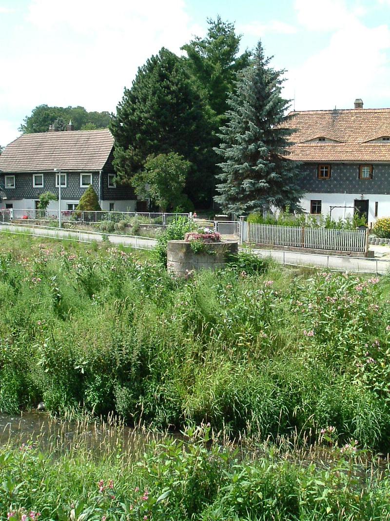 Ein Blick von der ehemaligen Gleisachse zeigt ein noch erhaltenes Widerlager der P/ießnitzbrücke am km 9,8 bei Bernstadt.