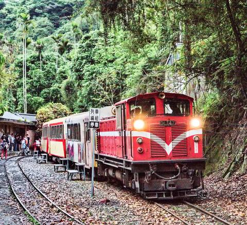 Die Alishan Mountain Railway führt einen Großteil der Strecke durch dichten Dschungel und Regenwald.