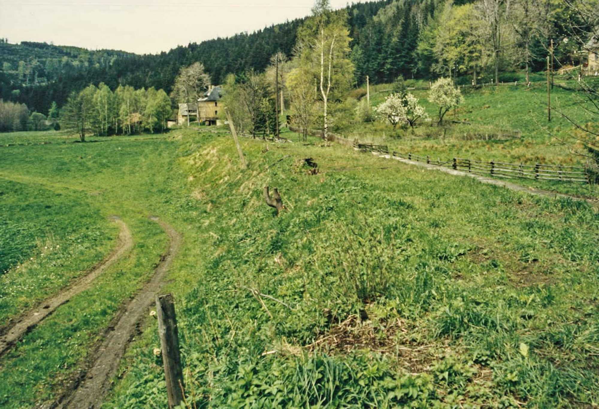 Mai 1995: Blick entlang des Bahndammes von Schmalzgrube aus in Richtung des „Forellenhofes“, der durch die kleine Baumgruppe an der Halde auf halbem Wege verdeckt wird.