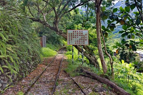 Wie hier im Lintienshan-Gebiet gibt es noch einige Reste der früheren Waldbahnen in Taiwan, ein kleiner Teil ist noch heute museal erhalten.