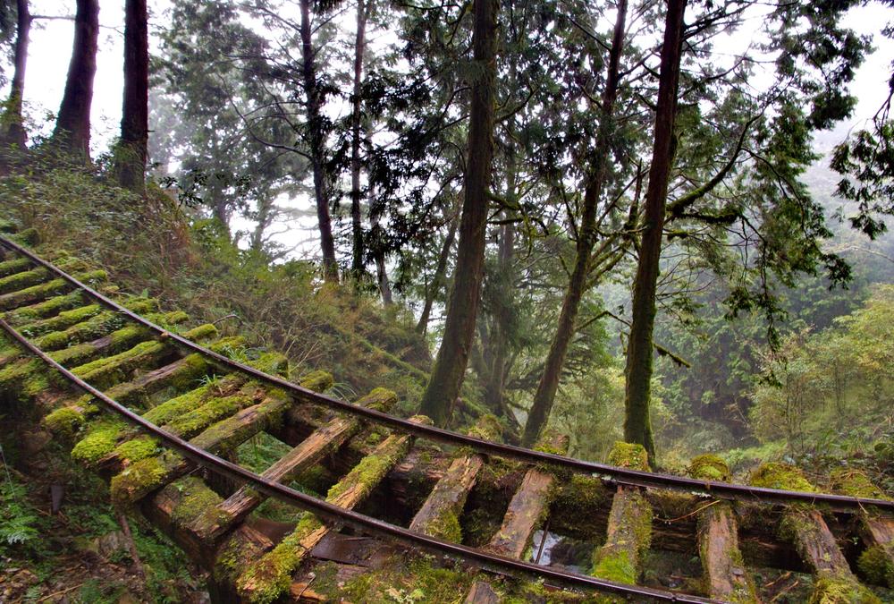 Verbliebene Reste der Gleise mitten im Wald bieten heute einen sehr exotischen Einblick.